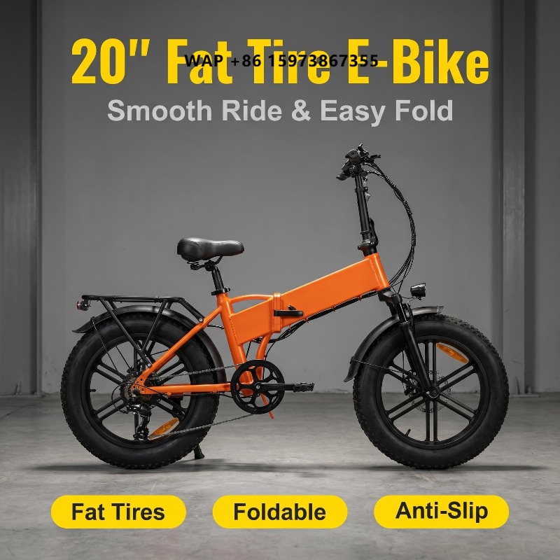 Tragbares, faltbares 20-Zoll-E – Cycling Commute Bewertung und Preis