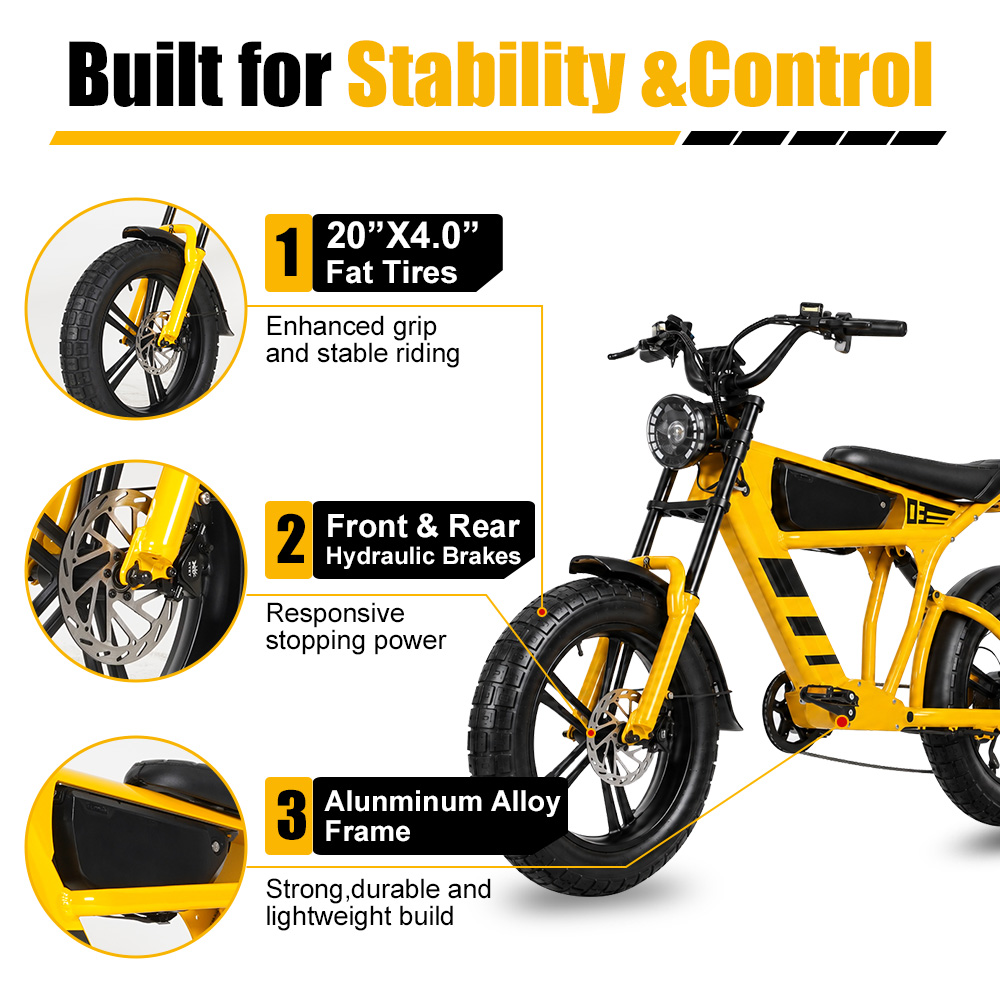 48V 18,2Ah 1000W Fatbike Elekt – Cycling Commute Speed Bewertung und Preis
