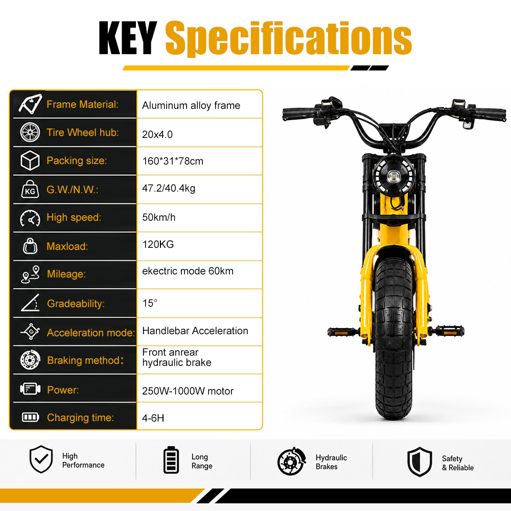 48V 18,2Ah 1000W Fatbike Elekt – Cycling Commute Speed Bewertung und Preis