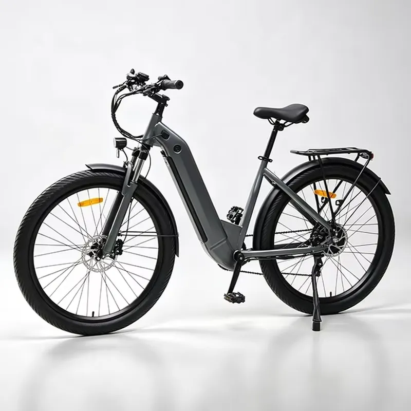 7-Gang 36V 250W Elektrofahrrad – Cycling Commute Speed Bewertung und Preis